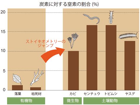 土 動物|土壌の世界